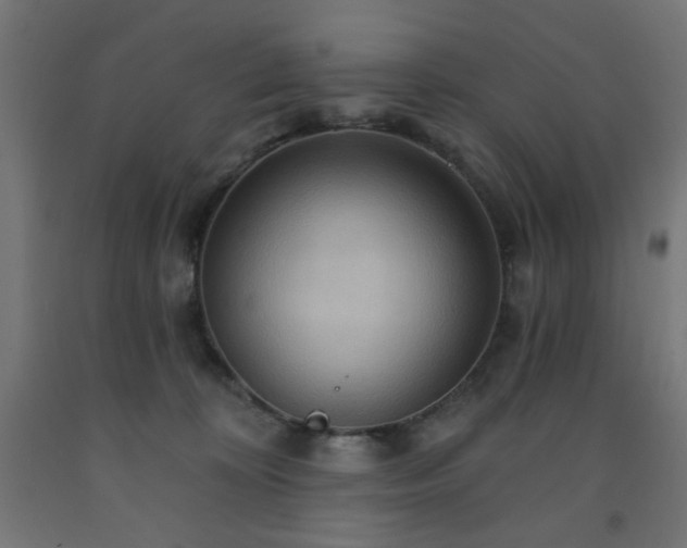 X0000093250324200710031609