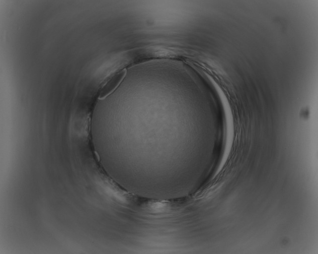 X0000093250325200710031609