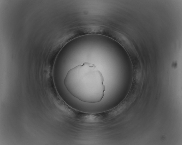 X0000093250326200710031609