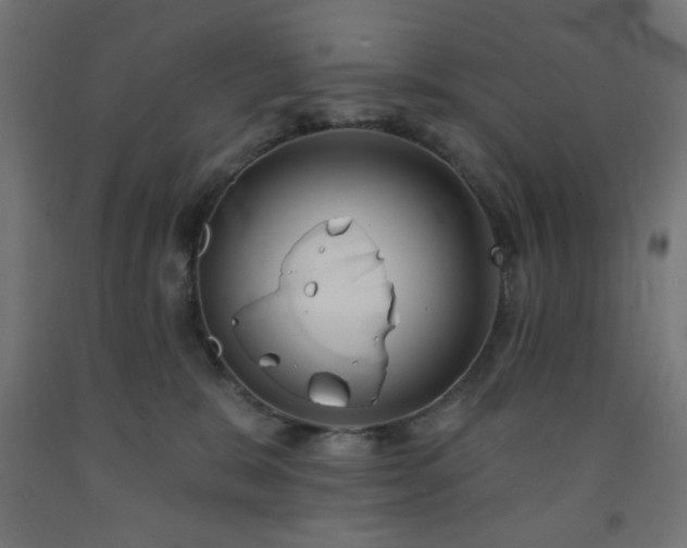 X0000093250327200710031609