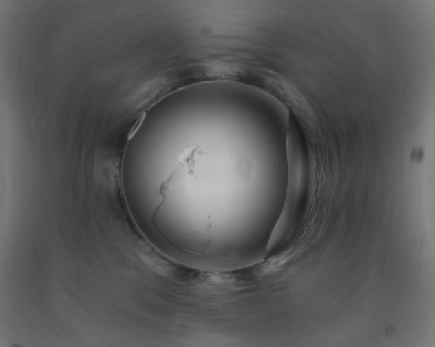 X0000093250329200710031609