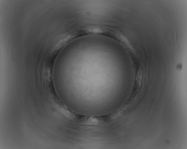 X0000093250330200710031609