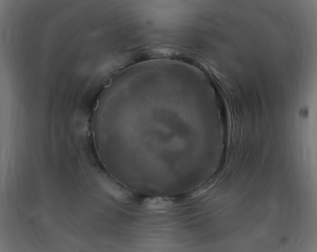 X0000093250331200710031609