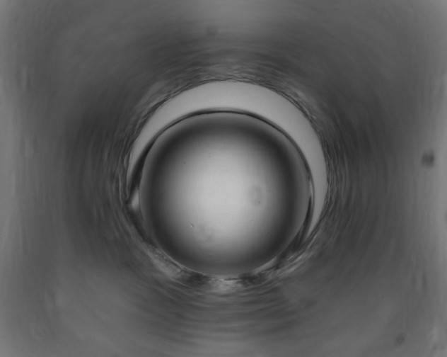 X0000093250333200710031609