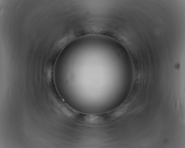 X0000093250334200710031609