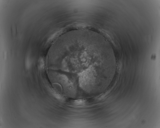 X0000093250335200710031609