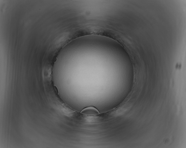 X0000093250336200710031609