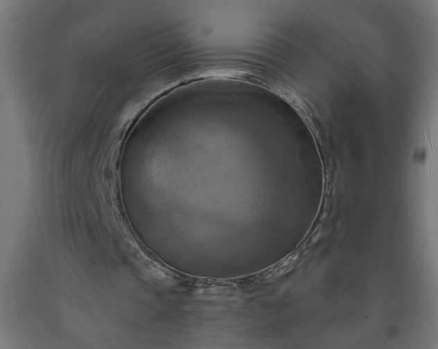 X0000093250337200710031608