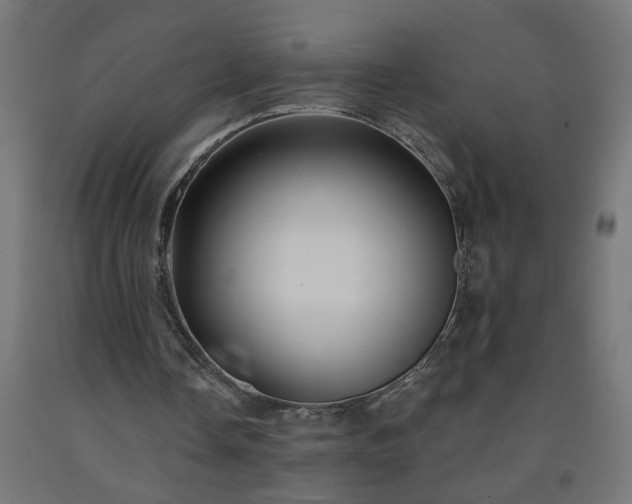 X0000093250338200710031608