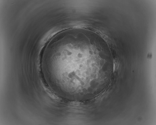 X0000093250339200710031608