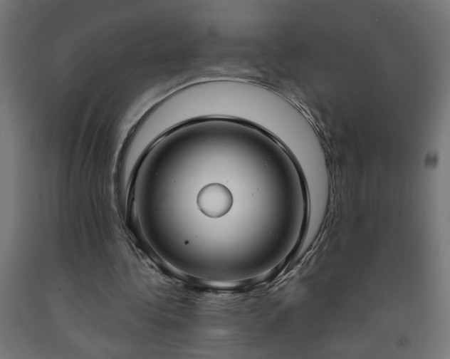 X0000093250340200710031608