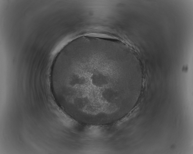 X0000093250341200710031608