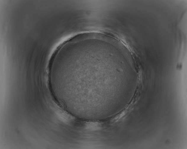 X0000093250342200710031608