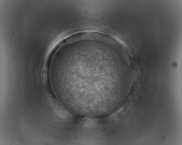 X0000093250343200710031608