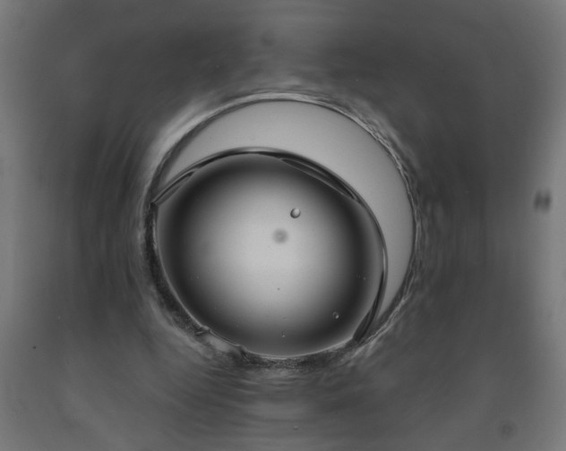 X0000093250344200710031608