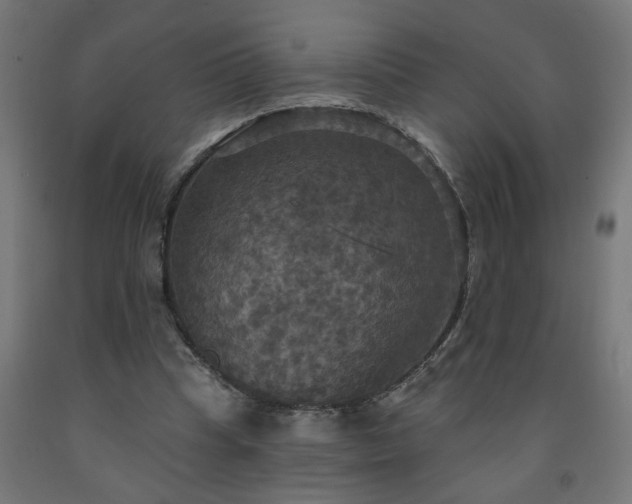 X0000093250345200710031608