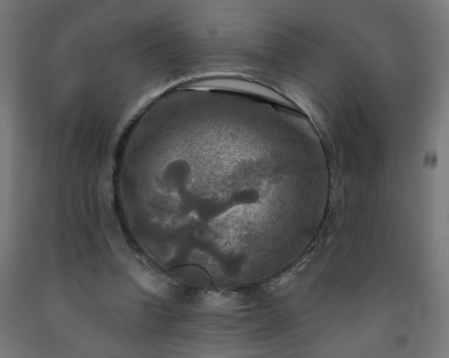 X0000093250346200710031608