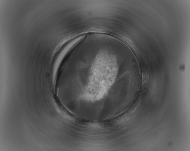 X0000093250349200710031608