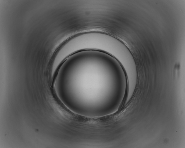 X0000093250350200710031608