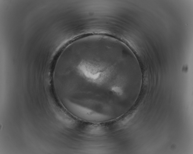 X0000093250351200710031608