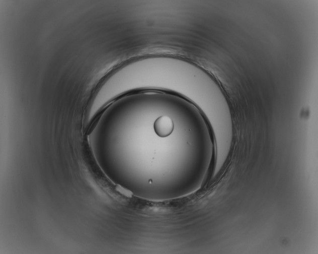 X0000093250352200710031609