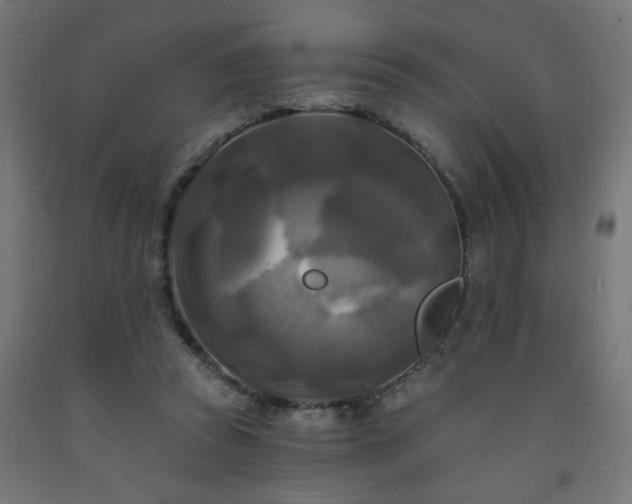 X0000093250353200710031609