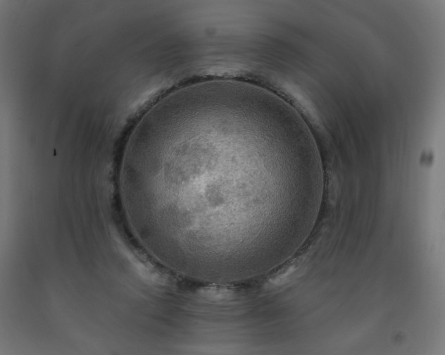 X0000093250354200710031609