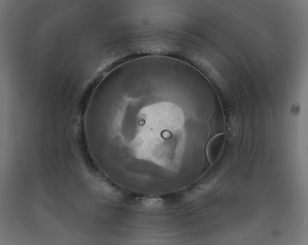 X0000093250355200710031609