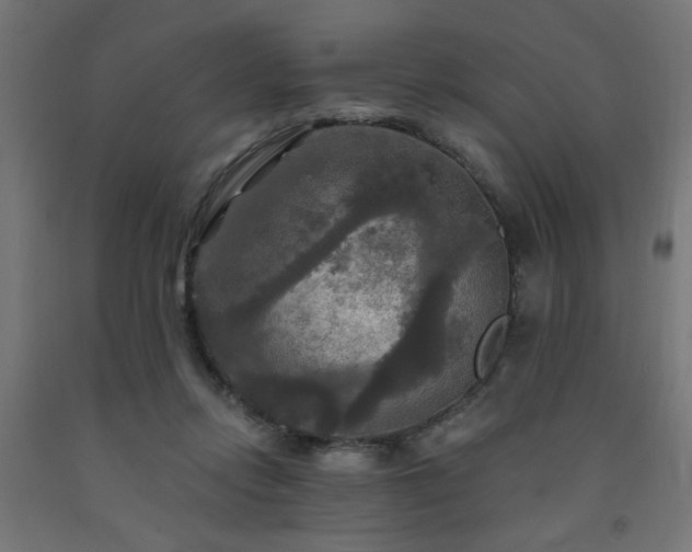 X0000093250358200710031609