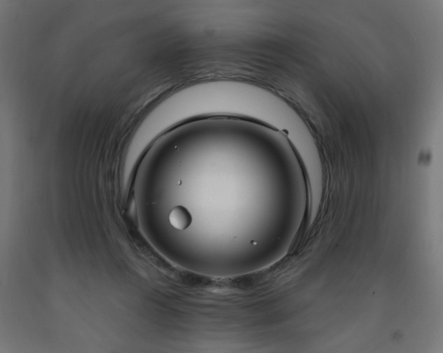 X0000093250360200710031609