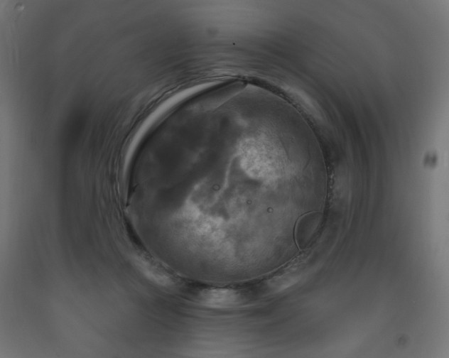 X0000093250361200710031609