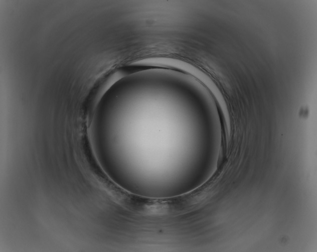 X0000093250362200710031609