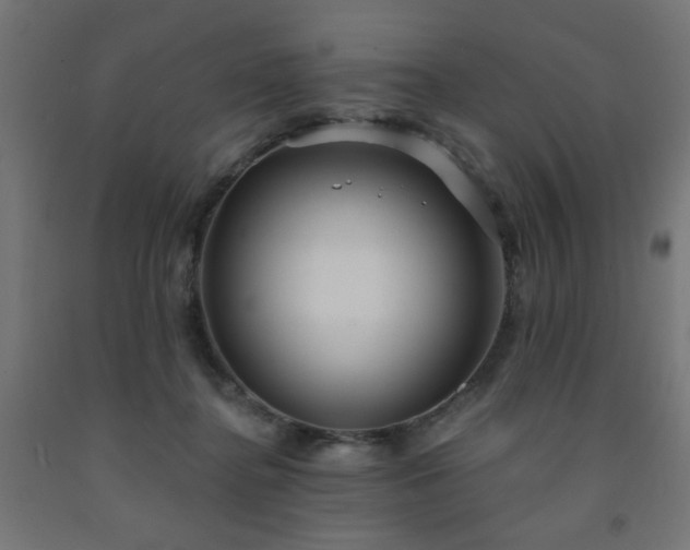 X0000093250364200710031609