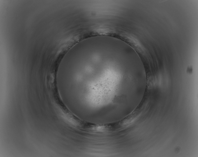 X0000093250365200710031609