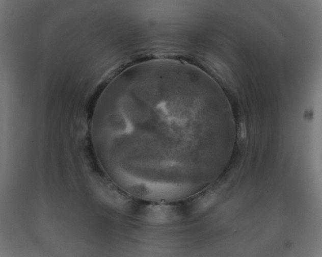 X0000093250367200710031609