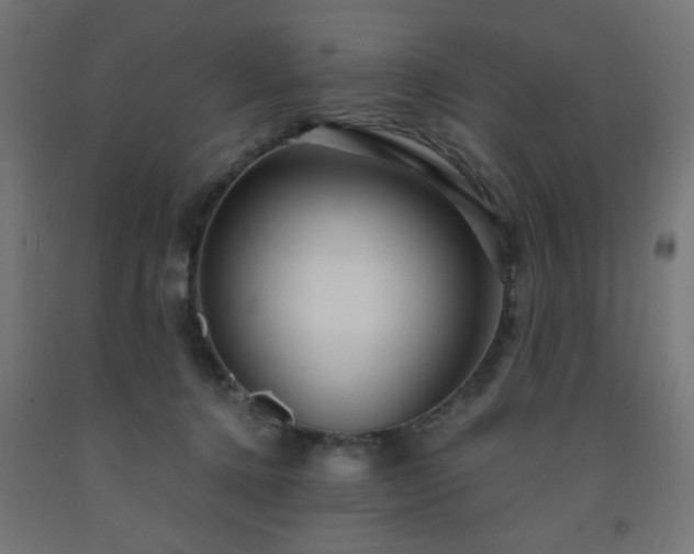 X0000093250368200710031609