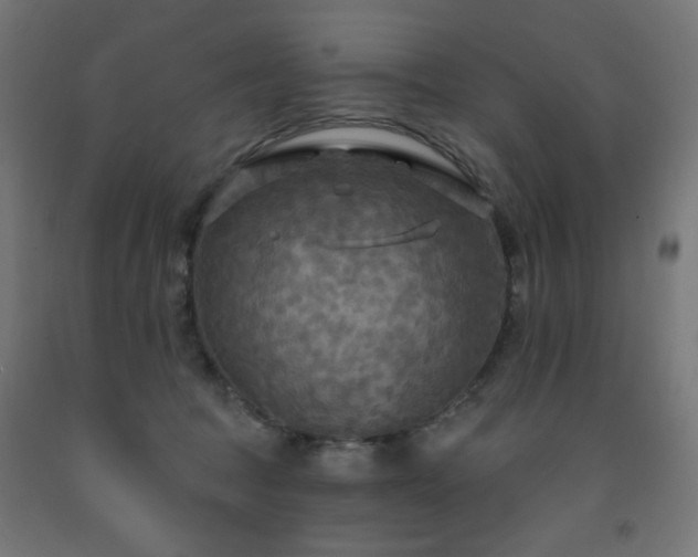 X0000093250369200710031609