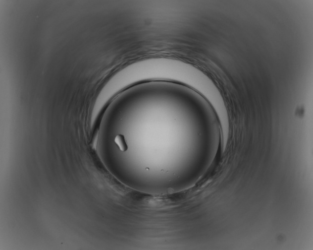 X0000093250372200710031609