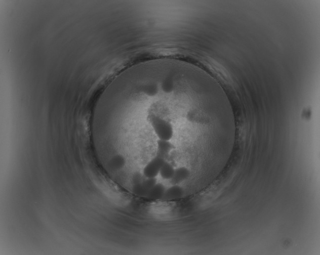 X0000093250373200710031609