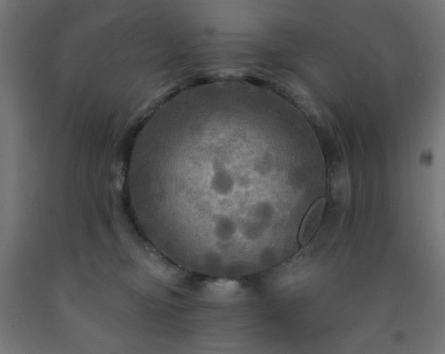 X0000093250374200710031609