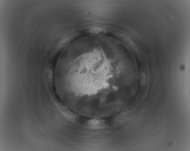 X0000093250375200710031609