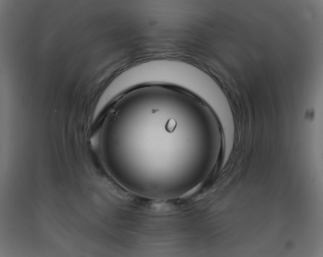 X0000093250376200710031609