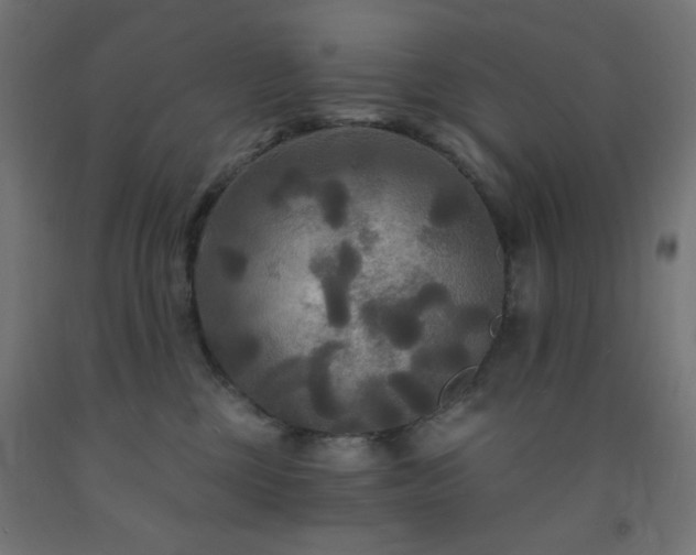 X0000093250377200710031609