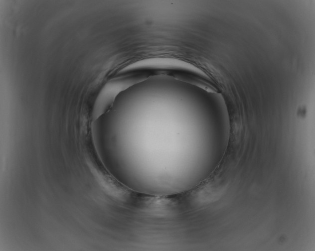 X0000093250379200710031609