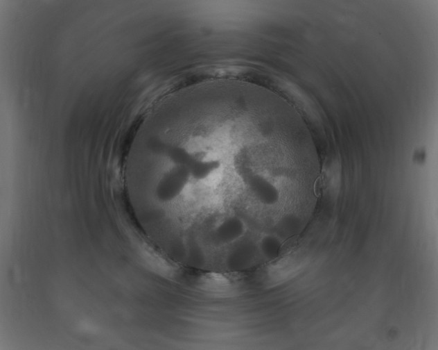 X0000093250381200710031609