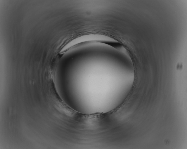 X0000093250384200710031609