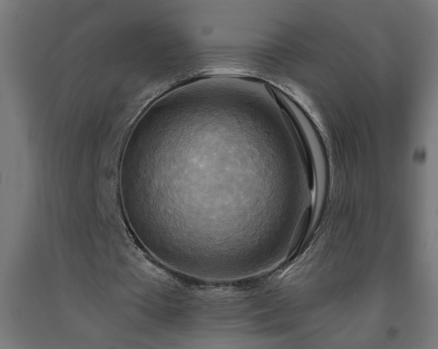 X0000093250385200710031608