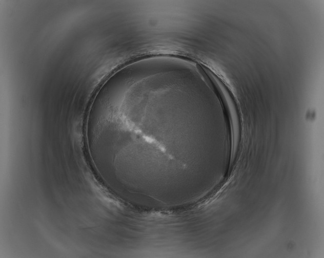 X0000093250386200710031608