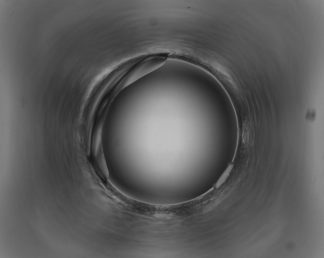 X0000093250388200710031608