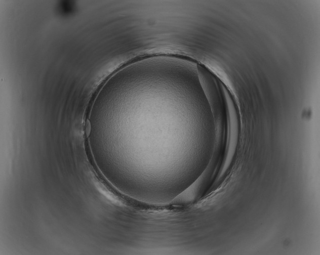 X0000093250389200710031608